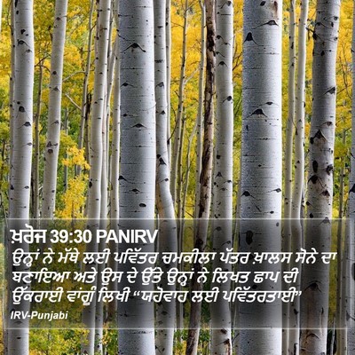 ਖ਼ਰੋਜ 39:30 PANIRV Bible Verse Image