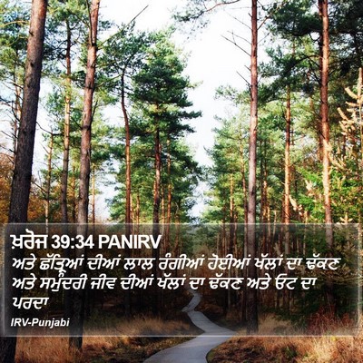 ਖ਼ਰੋਜ 39:34 PANIRV Bible Verse Image