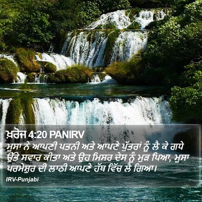 ਖ਼ਰੋਜ 4:20 PANIRV Bible Verse Image