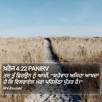 ਖ਼ਰੋਜ 4:22 PANIRV Bible Verse Image