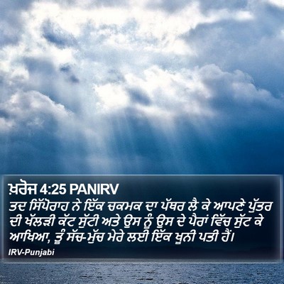 ਖ਼ਰੋਜ 4:25 PANIRV Bible Verse Image