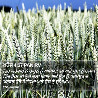 ਖ਼ਰੋਜ 4:27 PANIRV Bible Verse Image