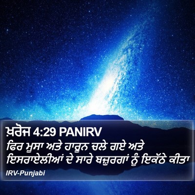 ਖ਼ਰੋਜ 4:29 PANIRV Bible Verse Image