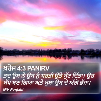 ਖ਼ਰੋਜ 4:3 PANIRV Bible Verse Image