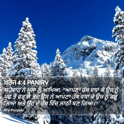 ਖ਼ਰੋਜ 4:4 PANIRV Bible Verse Image