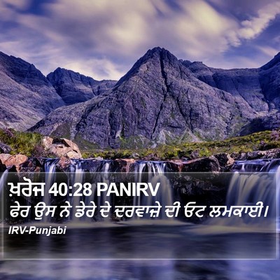 ਖ਼ਰੋਜ 40:28 PANIRV Bible Verse Image