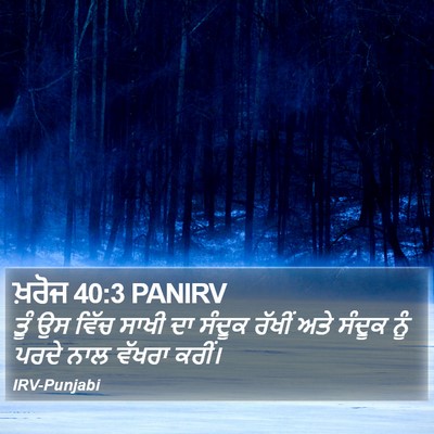 ਖ਼ਰੋਜ 40:3 PANIRV Bible Verse Image