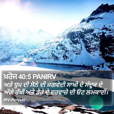 ਖ਼ਰੋਜ 40:5 PANIRV Bible Verse Image