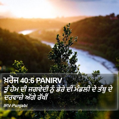 ਖ਼ਰੋਜ 40:6 PANIRV Bible Verse Image