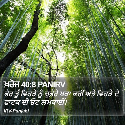 ਖ਼ਰੋਜ 40:8 PANIRV Bible Verse Image