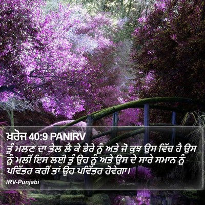 ਖ਼ਰੋਜ 40:9 PANIRV Bible Verse Image