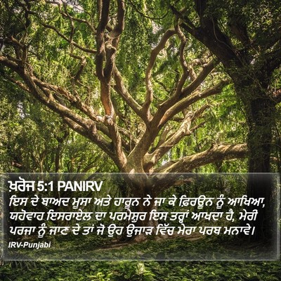 ਖ਼ਰੋਜ 5:1 PANIRV Bible Verse Image