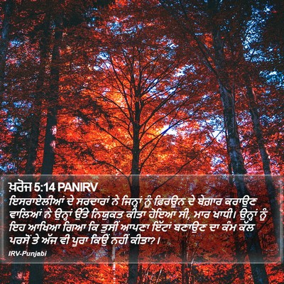 ਖ਼ਰੋਜ 5:14 PANIRV Bible Verse Image