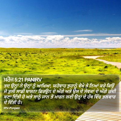 ਖ਼ਰੋਜ 5:21 PANIRV Bible Verse Image