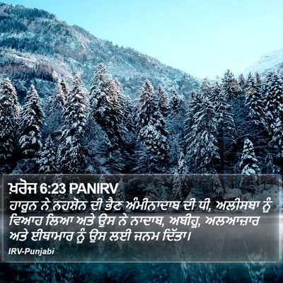 ਖ਼ਰੋਜ 6:23 PANIRV Bible Verse Image