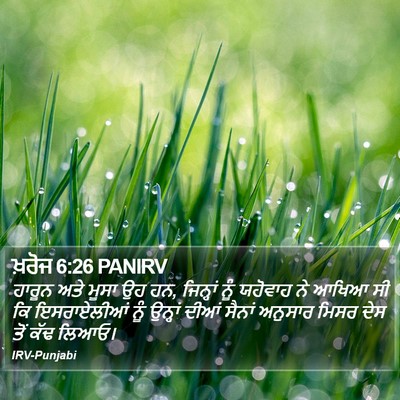 ਖ਼ਰੋਜ 6:26 PANIRV Bible Verse Image