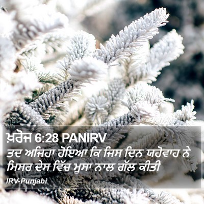 ਖ਼ਰੋਜ 6:28 PANIRV Bible Verse Image