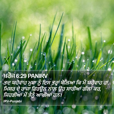 ਖ਼ਰੋਜ 6:29 PANIRV Bible Verse Image