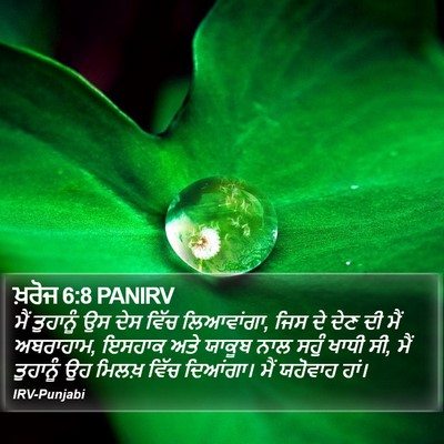 ਖ਼ਰੋਜ 6:8 PANIRV Bible Verse Image