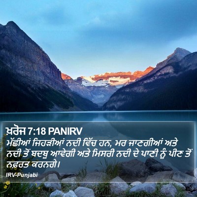 ਖ਼ਰੋਜ 7:18 PANIRV Bible Verse Image