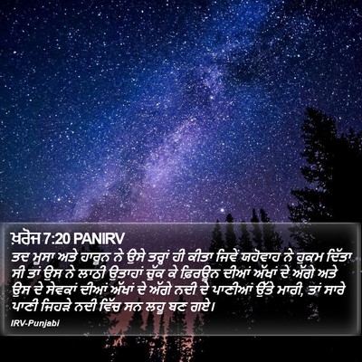 ਖ਼ਰੋਜ 7:20 PANIRV Bible Verse Image