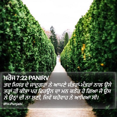 ਖ਼ਰੋਜ 7:22 PANIRV Bible Verse Image