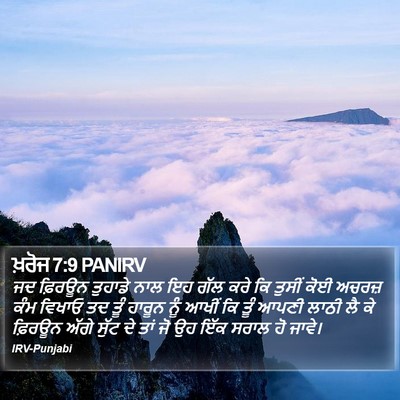 ਖ਼ਰੋਜ 7:9 PANIRV Bible Verse Image
