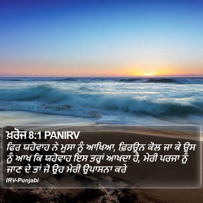 ਖ਼ਰੋਜ 8:1 PANIRV Bible Verse Image