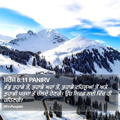 ਖ਼ਰੋਜ 8:11 PANIRV Bible Verse Image