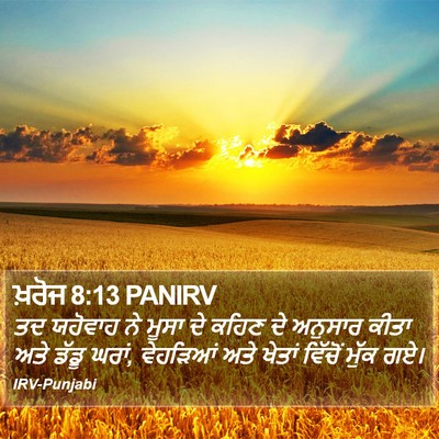 ਖ਼ਰੋਜ 8:13 PANIRV Bible Verse Image