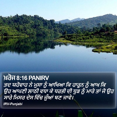 ਖ਼ਰੋਜ 8:16 PANIRV Bible Verse Image