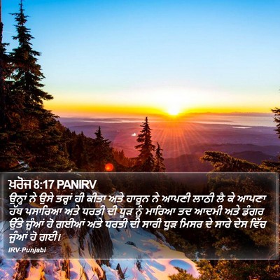 ਖ਼ਰੋਜ 8:17 PANIRV Bible Verse Image