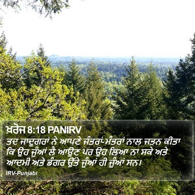 ਖ਼ਰੋਜ 8:18 PANIRV Bible Verse Image