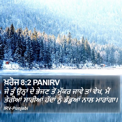 ਖ਼ਰੋਜ 8:2 PANIRV Bible Verse Image