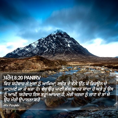 ਖ਼ਰੋਜ 8:20 PANIRV Bible Verse Image