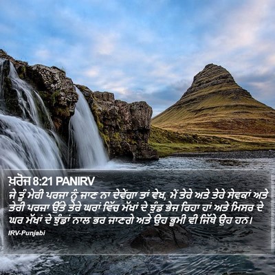 ਖ਼ਰੋਜ 8:21 PANIRV Bible Verse Image