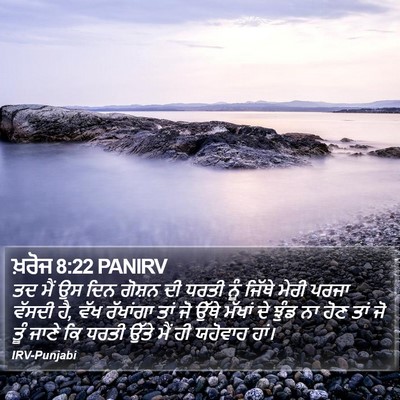 ਖ਼ਰੋਜ 8:22 PANIRV Bible Verse Image