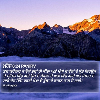 ਖ਼ਰੋਜ 8:24 PANIRV Bible Verse Image