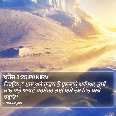 ਖ਼ਰੋਜ 8:25 PANIRV Bible Verse Image