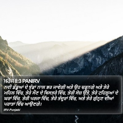 ਖ਼ਰੋਜ 8:3 PANIRV Bible Verse Image