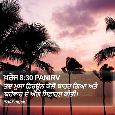 ਖ਼ਰੋਜ 8:30 PANIRV Bible Verse Image
