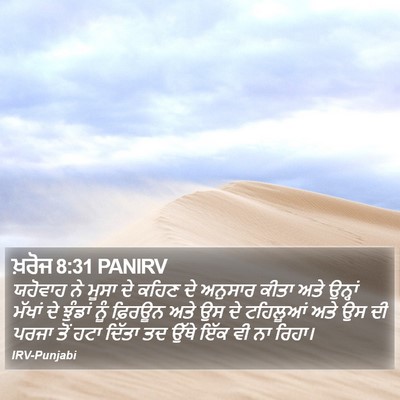 ਖ਼ਰੋਜ 8:31 PANIRV Bible Verse Image