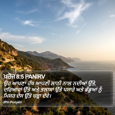 ਖ਼ਰੋਜ 8:5 PANIRV Bible Verse Image