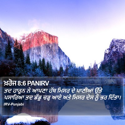 ਖ਼ਰੋਜ 8:6 PANIRV Bible Verse Image