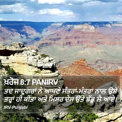ਖ਼ਰੋਜ 8:7 PANIRV Bible Verse Image