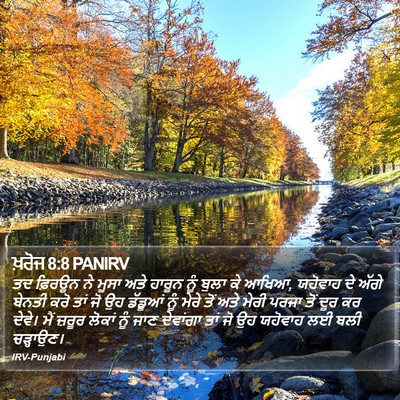 ਖ਼ਰੋਜ 8:8 PANIRV Bible Verse Image