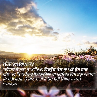 ਖ਼ਰੋਜ 9:1 PANIRV Bible Verse Image