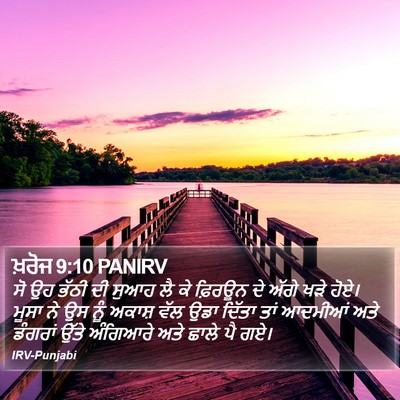 ਖ਼ਰੋਜ 9:10 PANIRV Bible Verse Image