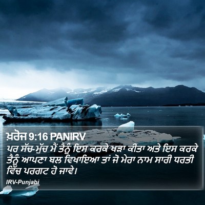 ਖ਼ਰੋਜ 9:16 PANIRV Bible Verse Image