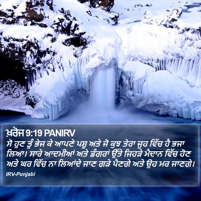 ਖ਼ਰੋਜ 9:19 PANIRV Bible Verse Image